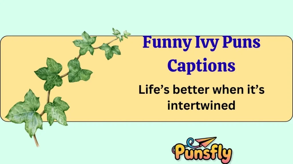 Funny Ivy Puns Captions