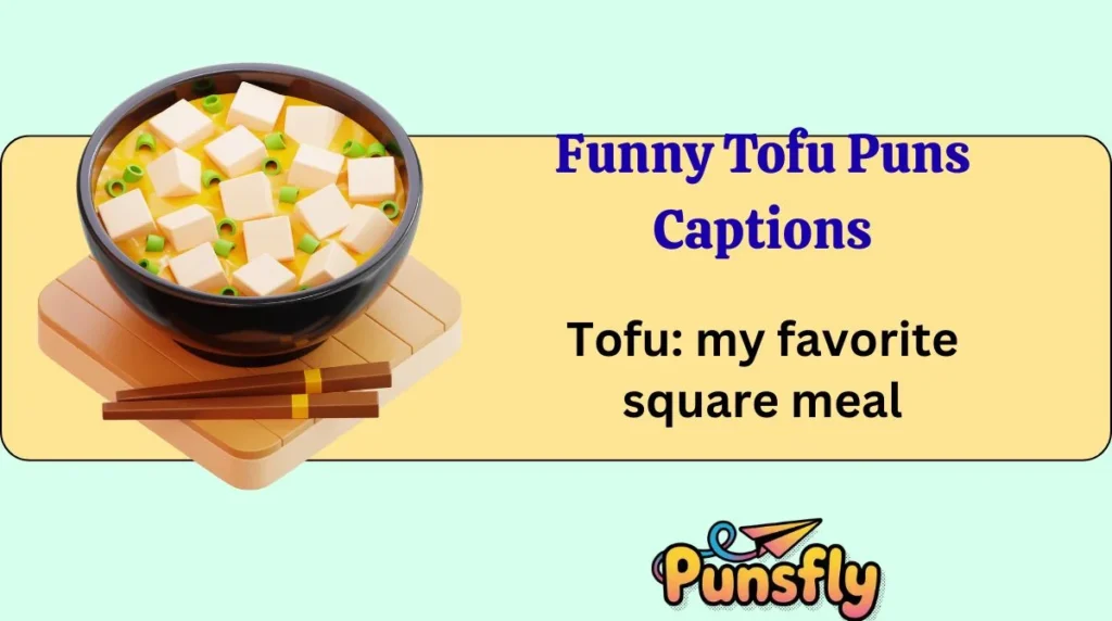 Funny Tofu Puns Captions