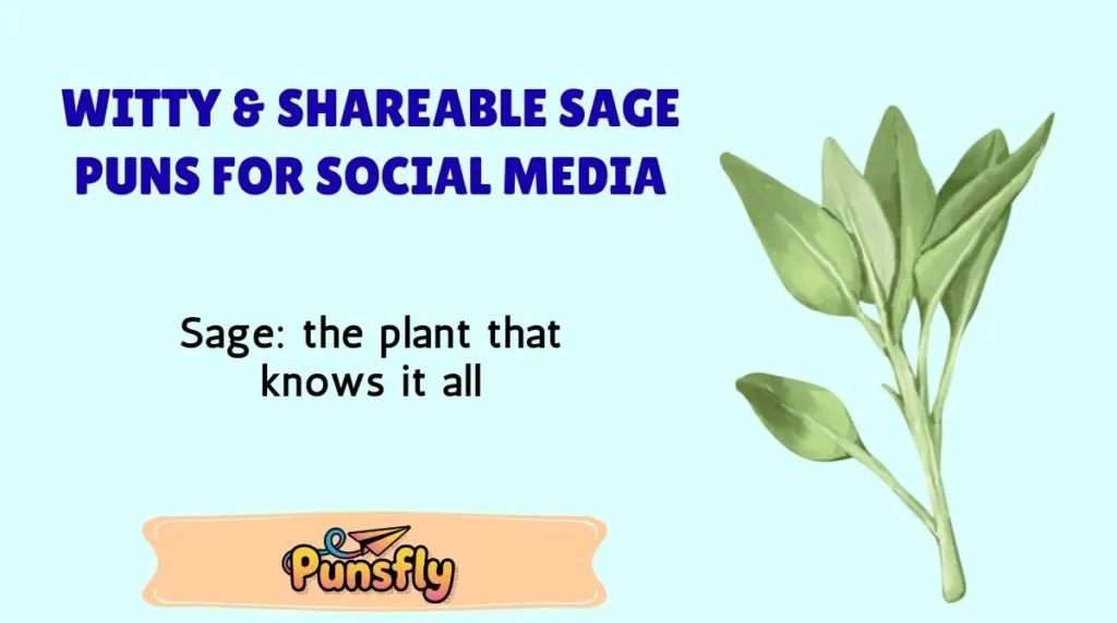 Witty & Shareable Sage Puns for Social Media
