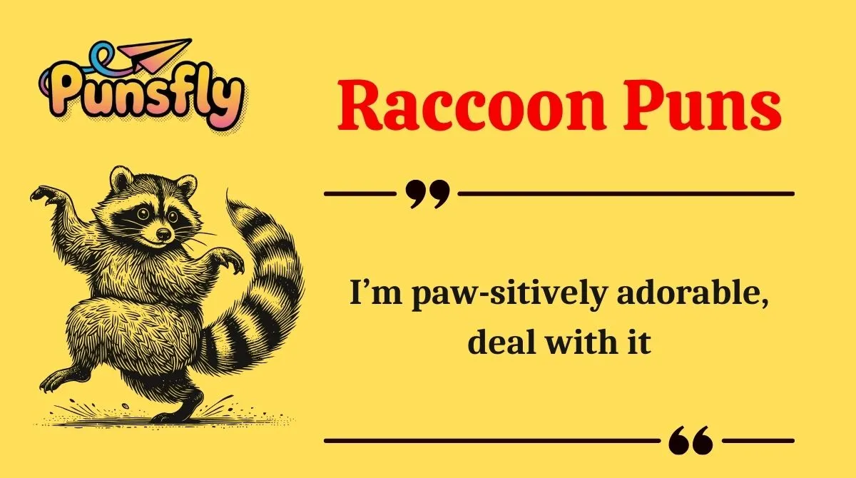 Raccoon Puns