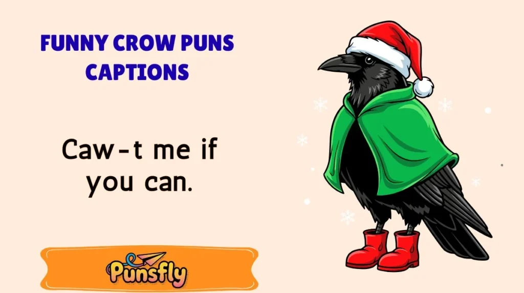 Funny Crow Puns Captions