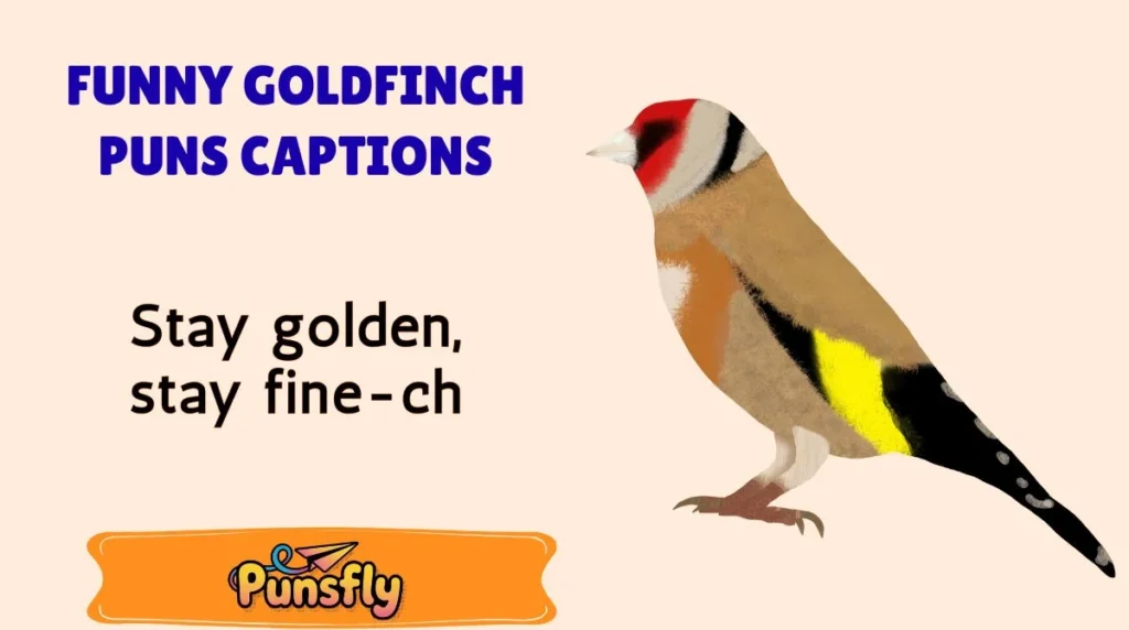 Funny Goldfinch Puns Captions